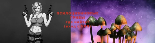 стафф Краснослободск