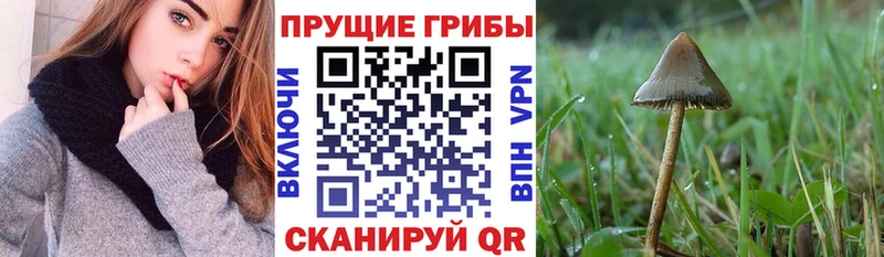 Псилоцибиновые грибы ЛСД  Сурск 